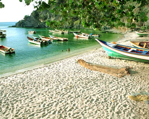 Imagen - Manzanillo MX