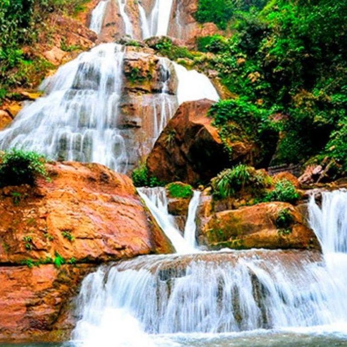 Imagen - Selva Central