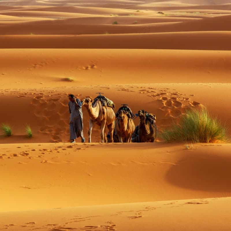 Immagine - Merzouga