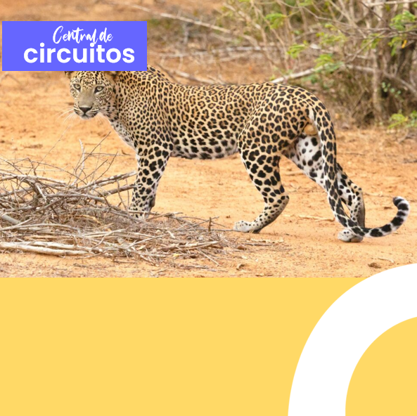 Imagen - Serengeti (Tanzania)