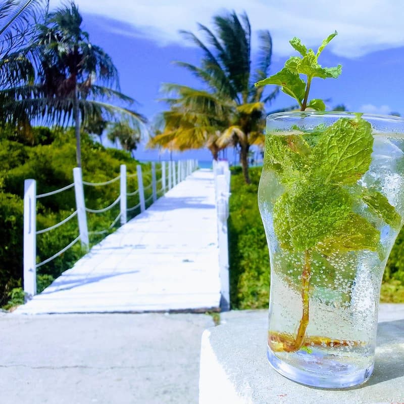 Image - Cayo Coco, Cuba