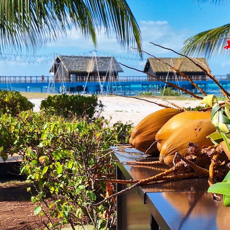 Imagen - Cayo Guillermo