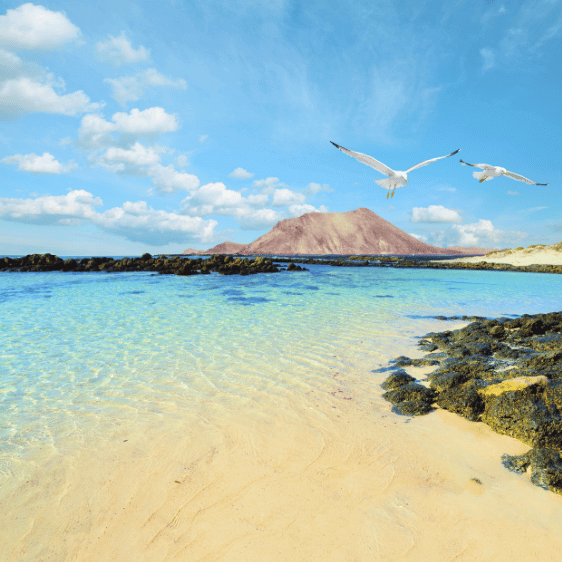Image - Fuerteventura Island