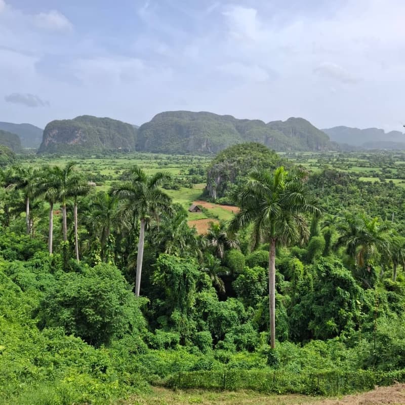 Imagen - Viñales