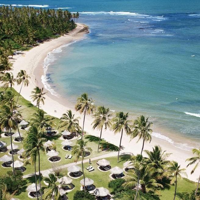 Imagen - Praia do Forte