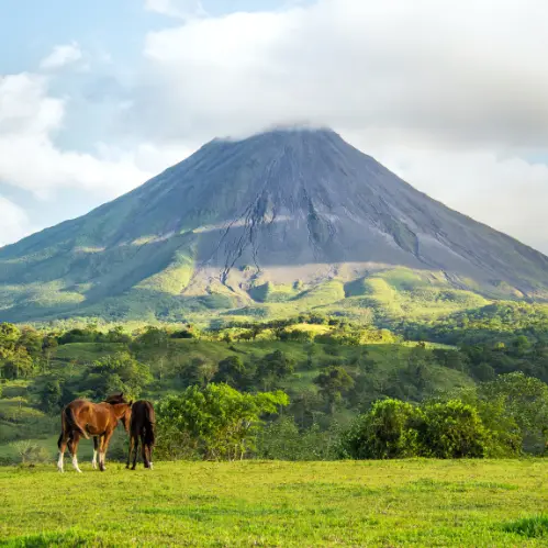 Arenal
