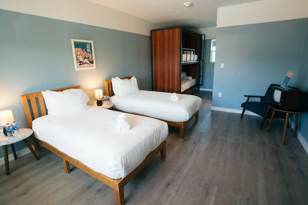 Selina Gold Dust Agente 5