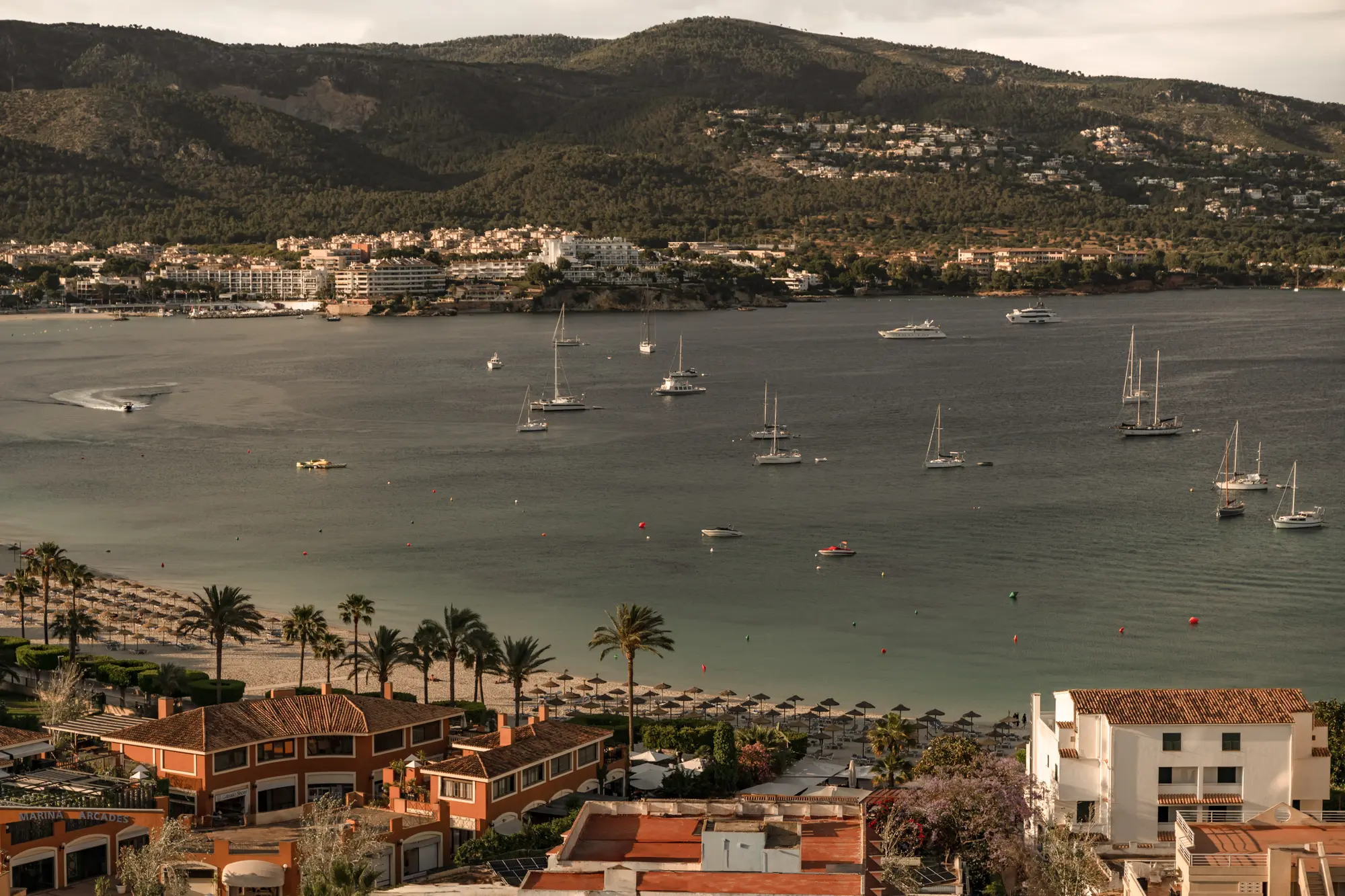 cook's club calvia beach - adults only