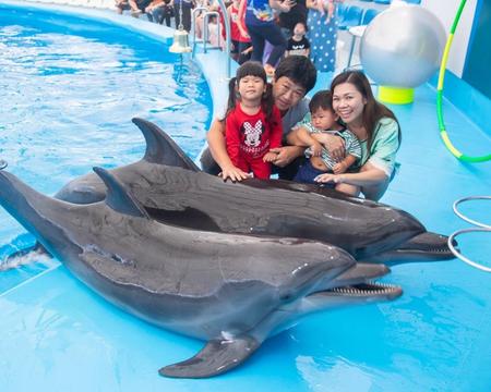 Dolphinarium Pattaya